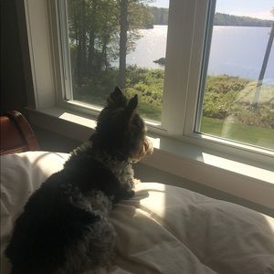 Meet your Posher, Perl